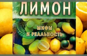 Рецепты лечения болезней лимонами. Пдф-книга