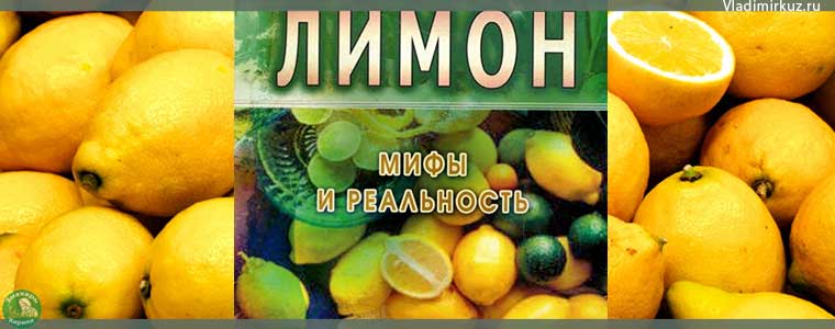Рецепты лечения болезней лимонами. Пдф-книга